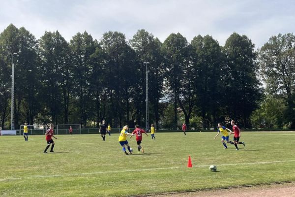 Bilder vom Spiel SSV Neustadt Sachen e.V. gegen SV Struppen 2.