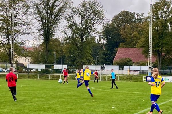 Bild vom Spiel SSV Neustadt/Sachsen gegen SpG Bad Schandau/Hohnstein/Reinhardtsdorf