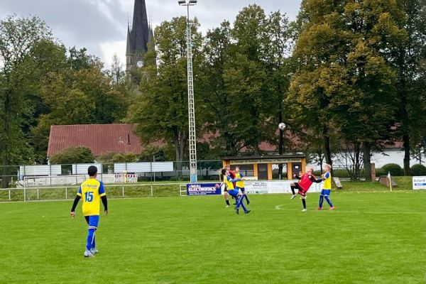 Bilder vom Spiel SSV Neustadt/Sachsen gegen SpG Bad Schandau/Hohnstein/Reinhardtsdorf