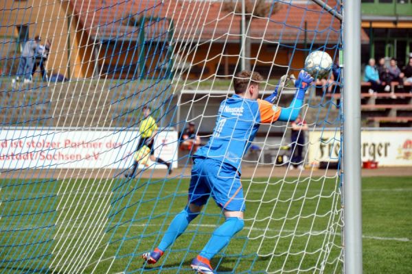 Bilder vom Spiel SSV Neustadt/Sachsen gegen 1. FC Pirna